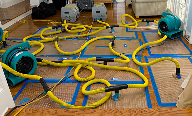 Professional Crawl Space Water Removal technician working in Earth City, MO